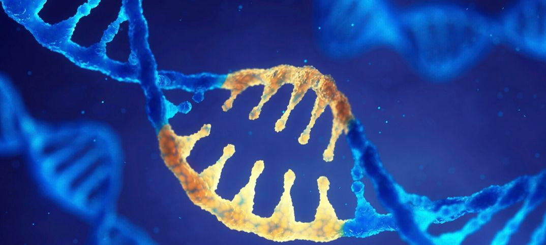 19 Advantages and Disadvantages of Genetic Engineering 