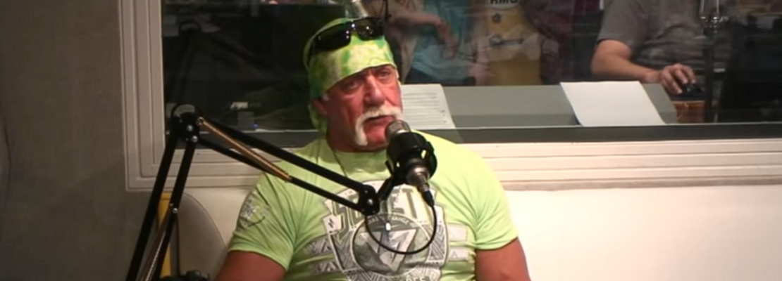 30 Best Hulk Hogan Sayings and Quotes