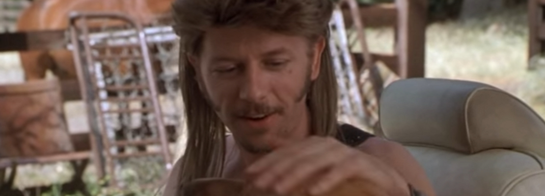 Joe Dirt is a comedy film written by David Spade and Fred Wolf that tells t...