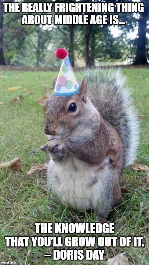 300+ Funny Birthday Wishes, Messages and Quotes ...