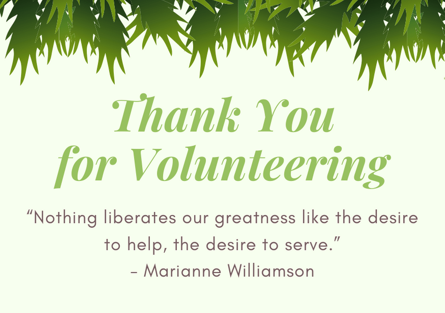 thank-you-for-volunteering-image-quote-williamson