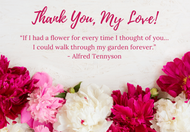 50 Special Thank You for Being my Wife Notes and Quotes ...