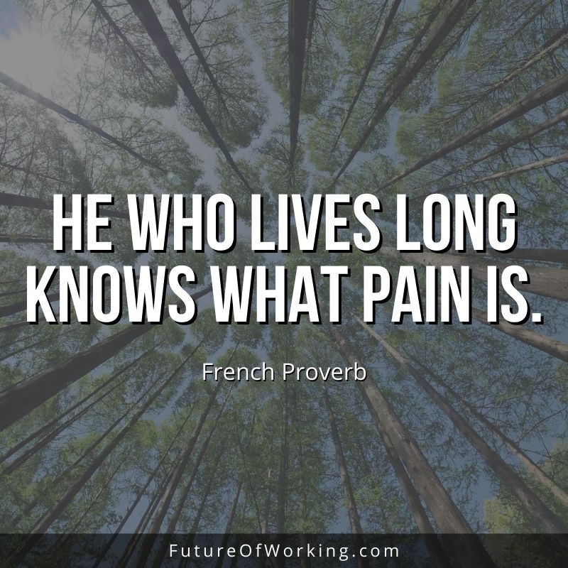 French Proverb Quote