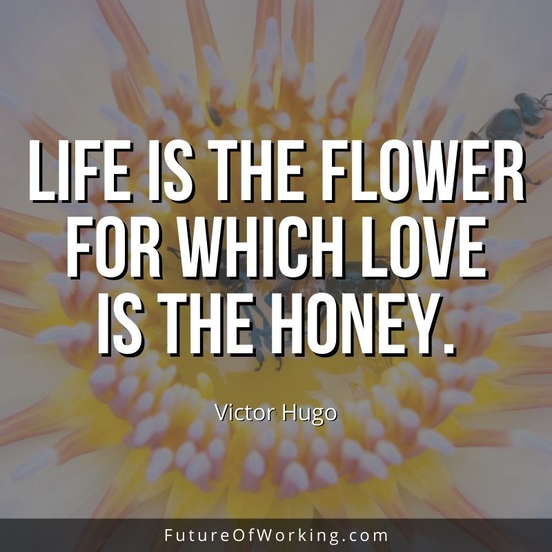 Victor Hugo Quote