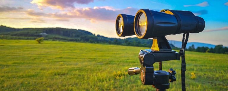 once you done FutureofWorking com - Where Do You See Yourself In 5 Years 768x307 